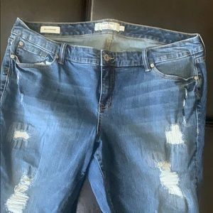 Torrid Jean denim plus Capri